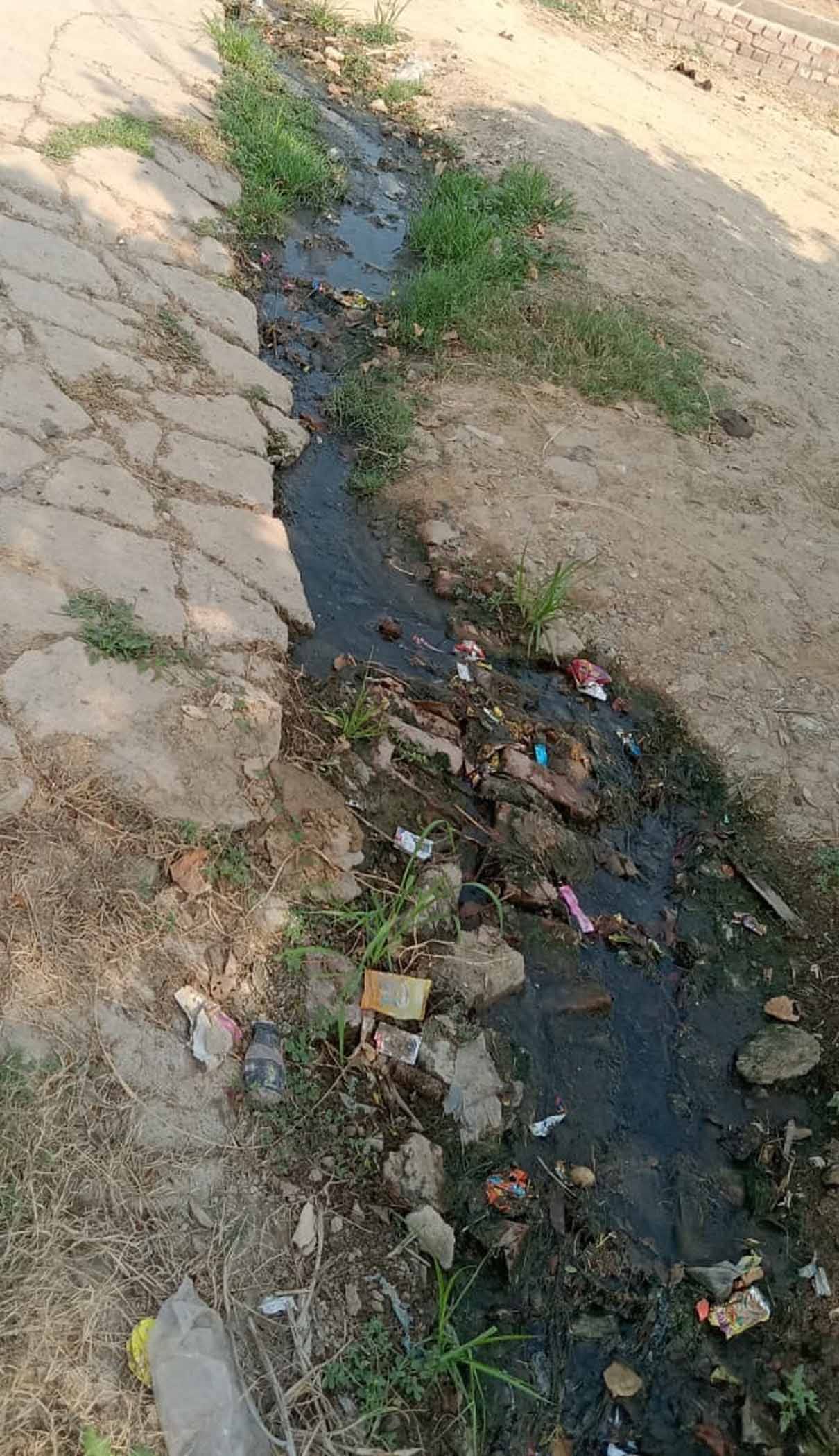 गांव तेजां में गंदगी से भरी नाली। संवाद गांव तेजां में गंदगी से भरी नाली। संवाद
