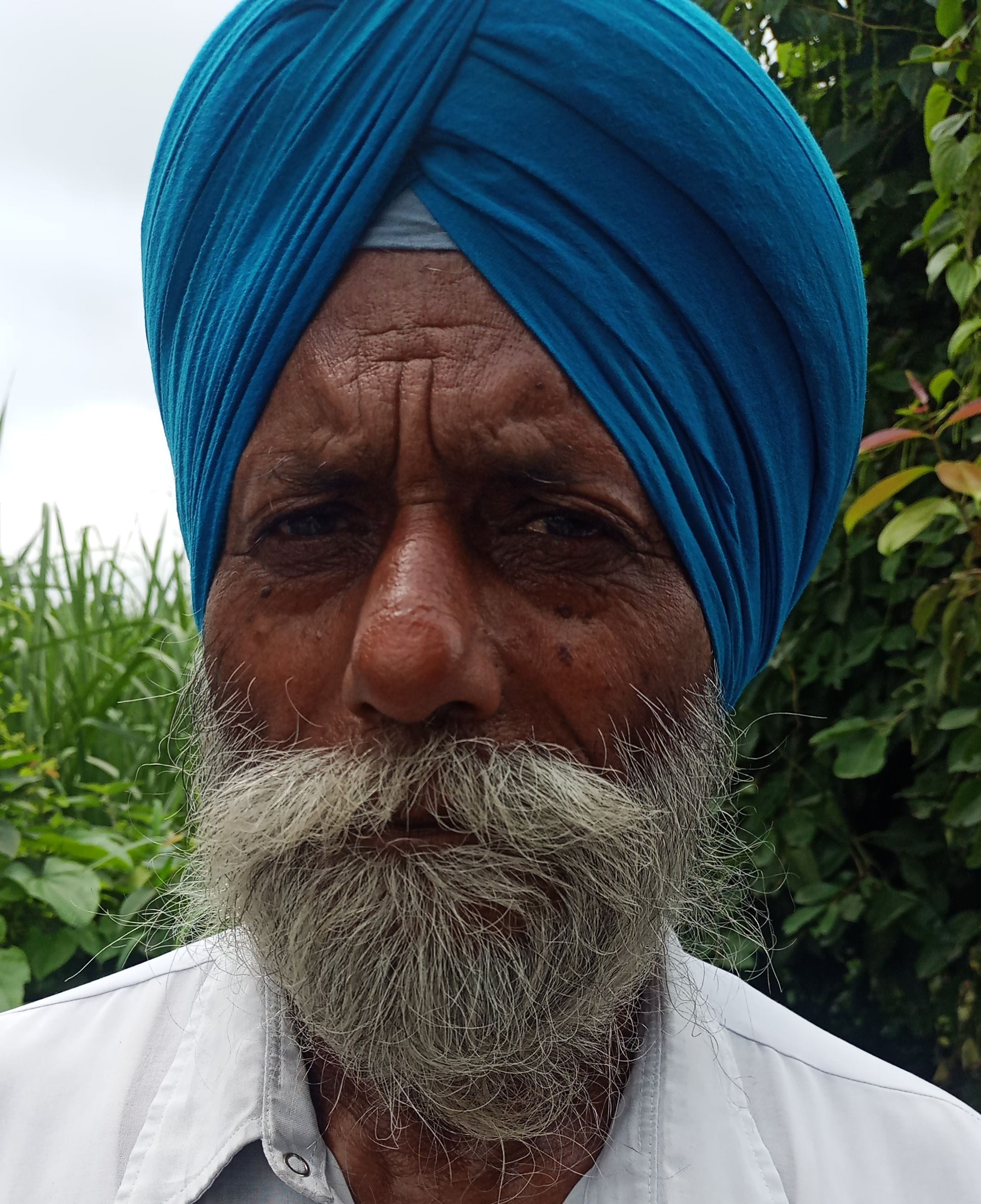 दर्शन सिंह, सुंदरपुर नानकमत्ता। दर्शन सिंह, सुंदरपुर नानकमत्ता।