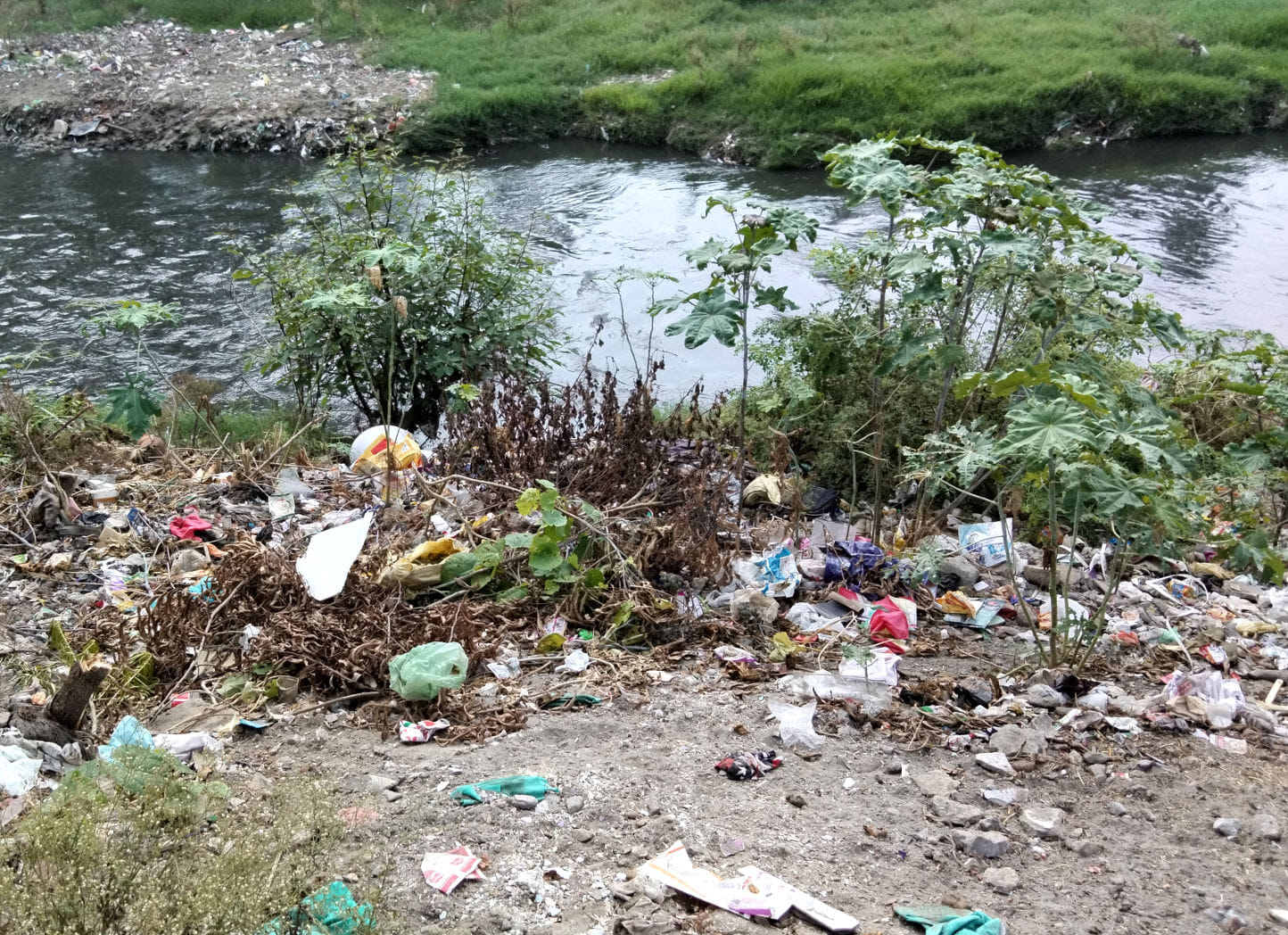ढमोले के किनारे डाला गया कूड़ा ढमोले के किनारे डाला गया कूड़ा
