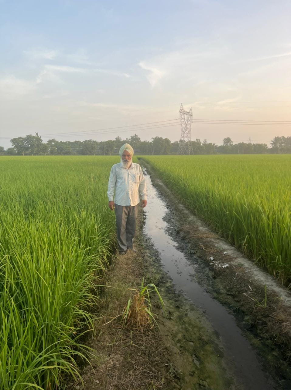 किसान बुध सिंह। किसान बुध सिंह।