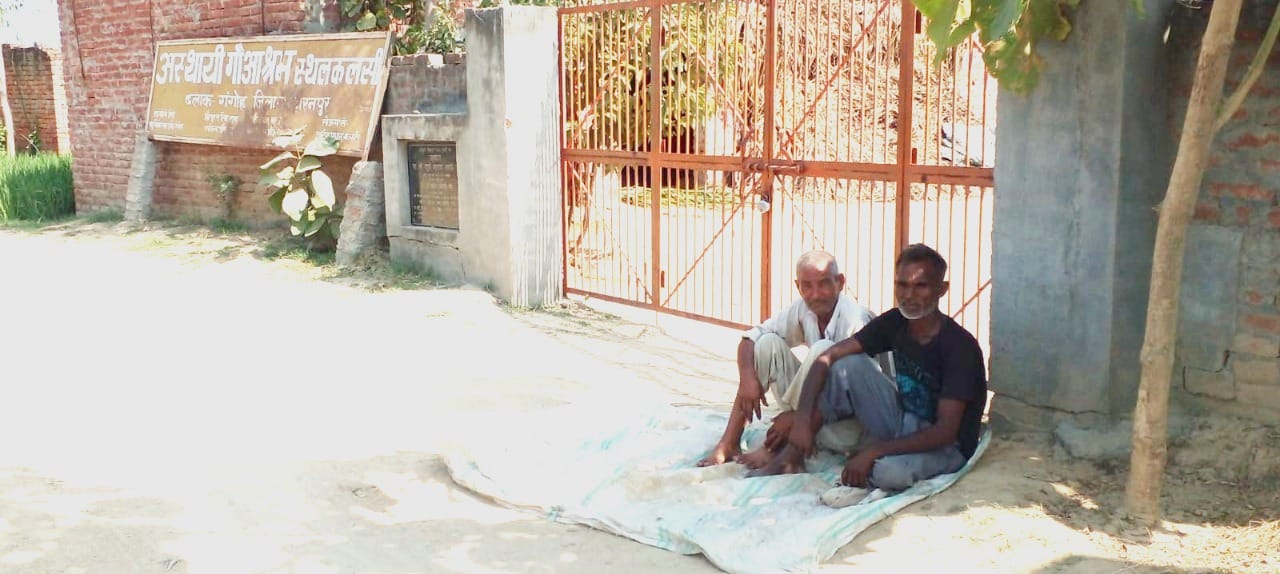 कलसी गौशाला के मुख्य गेट पर ताला लगाने के बाद धरनारत् संविदाकर्मी। कलसी गौशाला के मुख्य गेट पर ताला लगाने के बाद धरनारत् संविदाकर्मी।