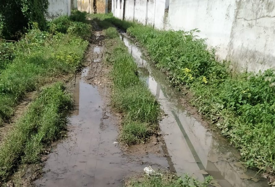 मंडावली के गांव साहबपुरा उमराव में मार्ग पर जलभराव और कीचड़।