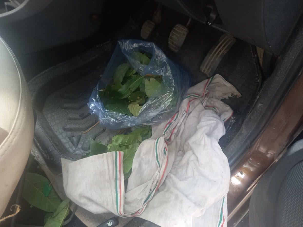 कार में रखे बकरी का चारा कार में रखे बकरी का चारा
