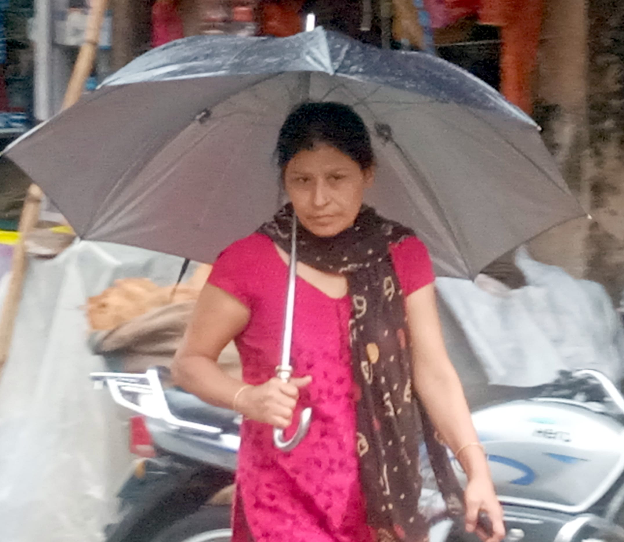 शामली में बारिश में छाता लगाकर गुजरती महिला। शामली में बारिश में छाता लगाकर गुजरती महिला।