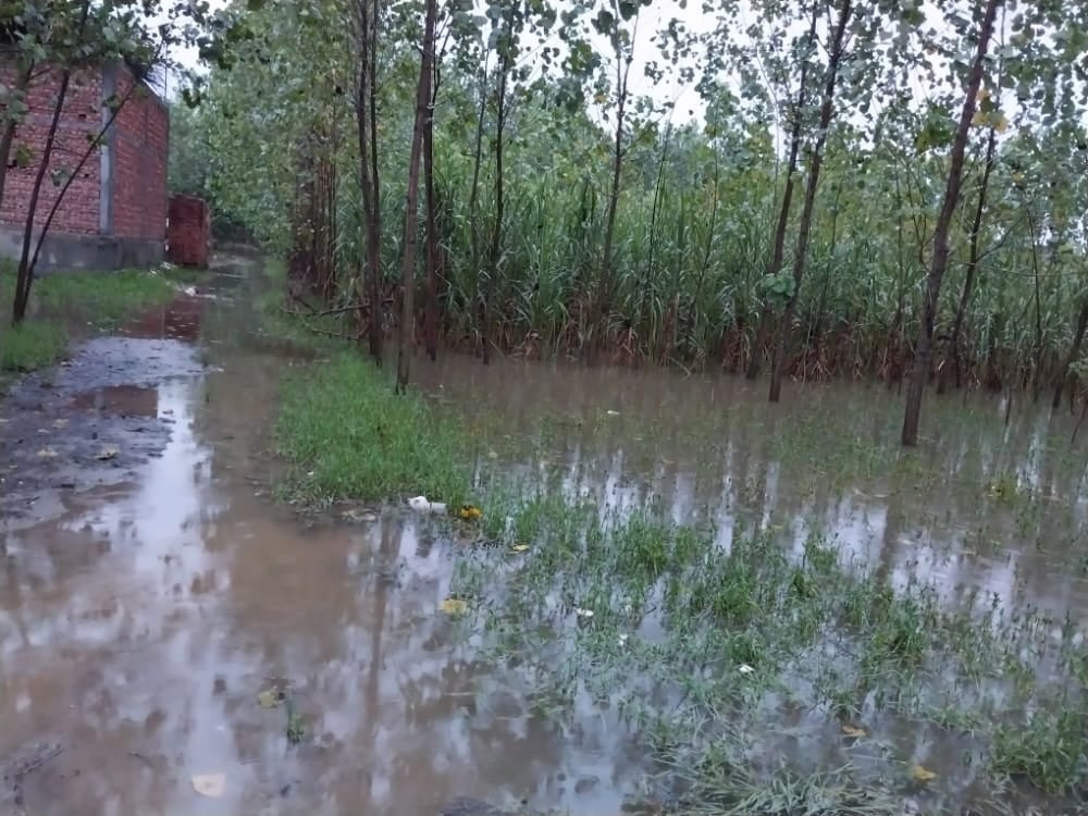 चिलकाना खादर क्षेत्र के खेत में भरा नदी का पानी