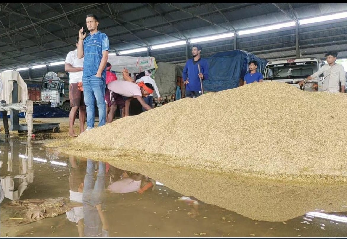 Disaster rain, roads submerged, paddy shed in mandis Disaster rain, roads submerged, paddy shed in mandis