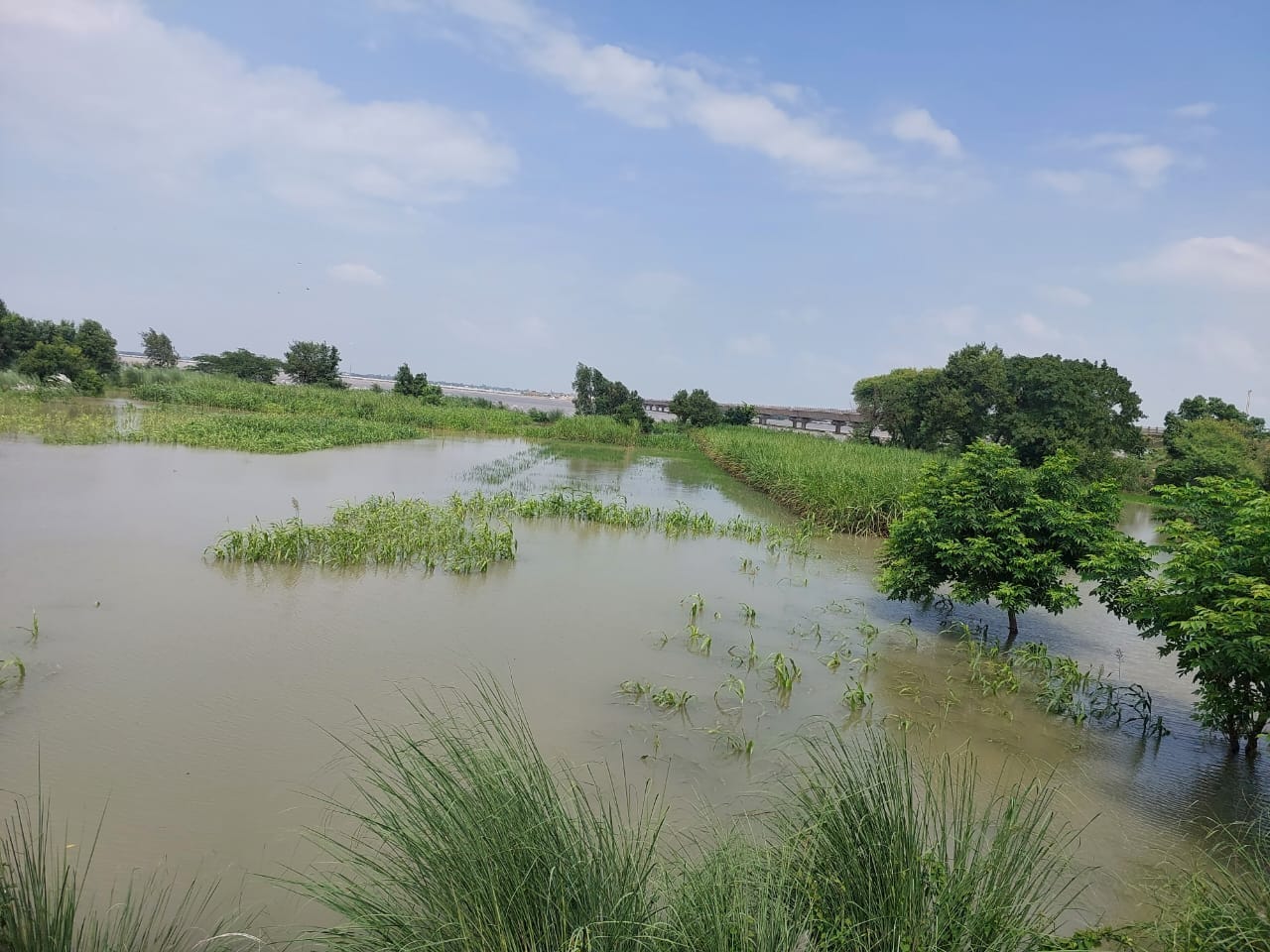 दोहरीघाट के तटवर्ती इलाके में फैला सरयू नदी का जलस्तर।संवाद दोहरीघाट के तटवर्ती इलाके में फैला सरयू नदी का जलस्तर।संवाद