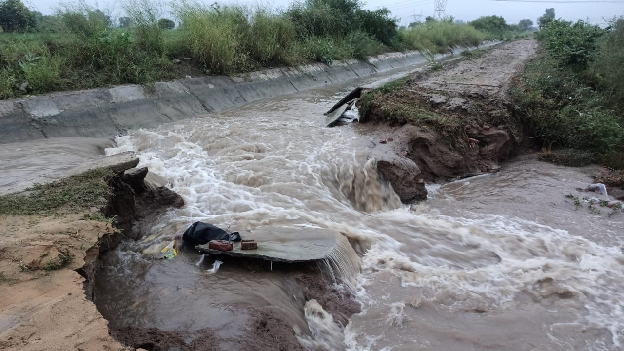 हिसार। रामायण गांव में टूटा रजबाहा व खेतों की ओर बहता पानी। हिसार। रामायण गांव में टूटा रजबाहा व खेतों की ओर बहता पानी।