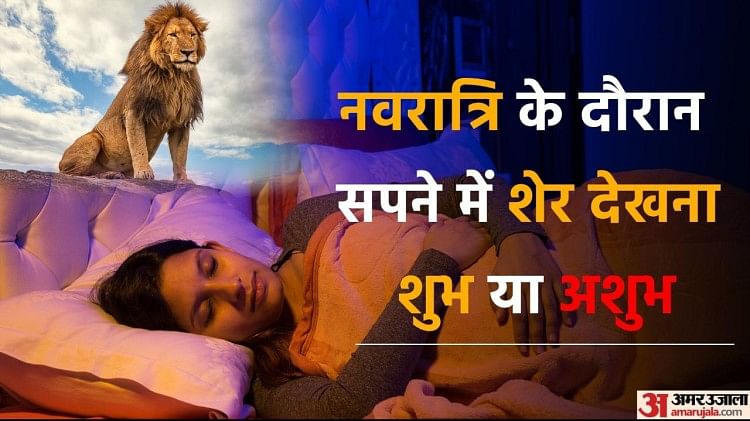 meaning of lion in hindi