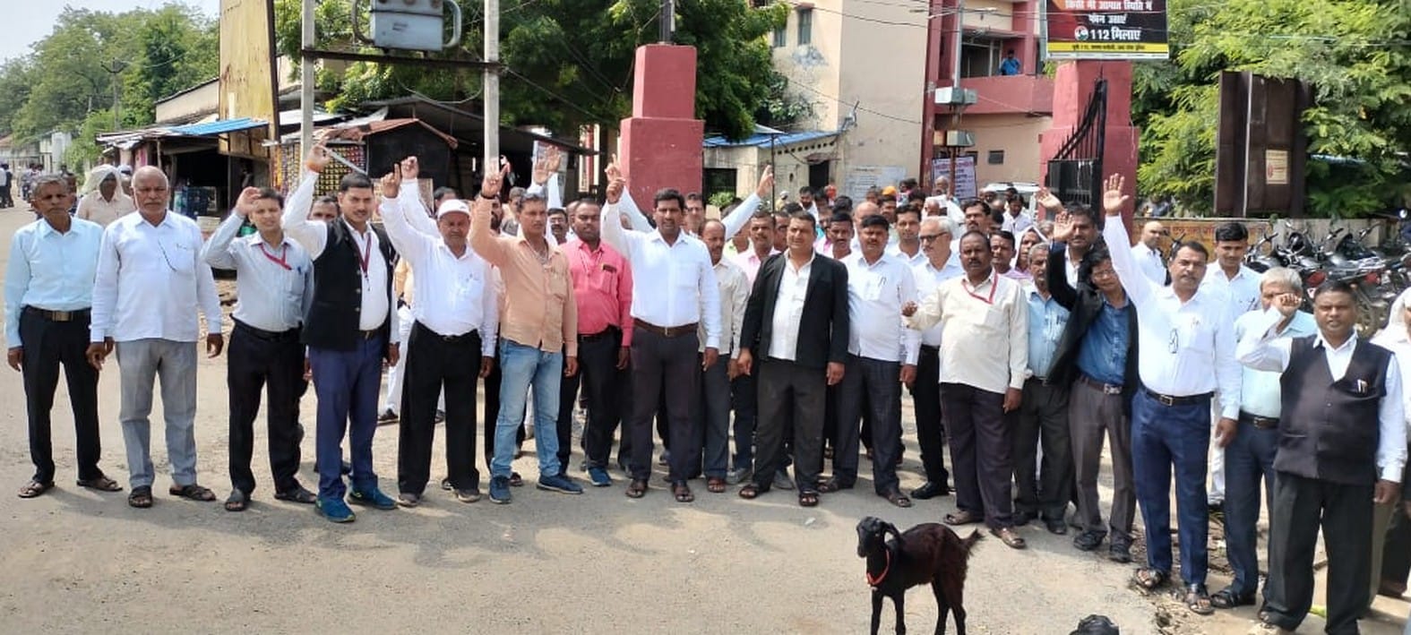 सकलडीहा तहसीलदार के खिलाफ प्रदर्शन करते अधिवक्ता। संवाद सकलडीहा तहसीलदार के खिलाफ प्रदर्शन करते अधिवक्ता। संवाद
