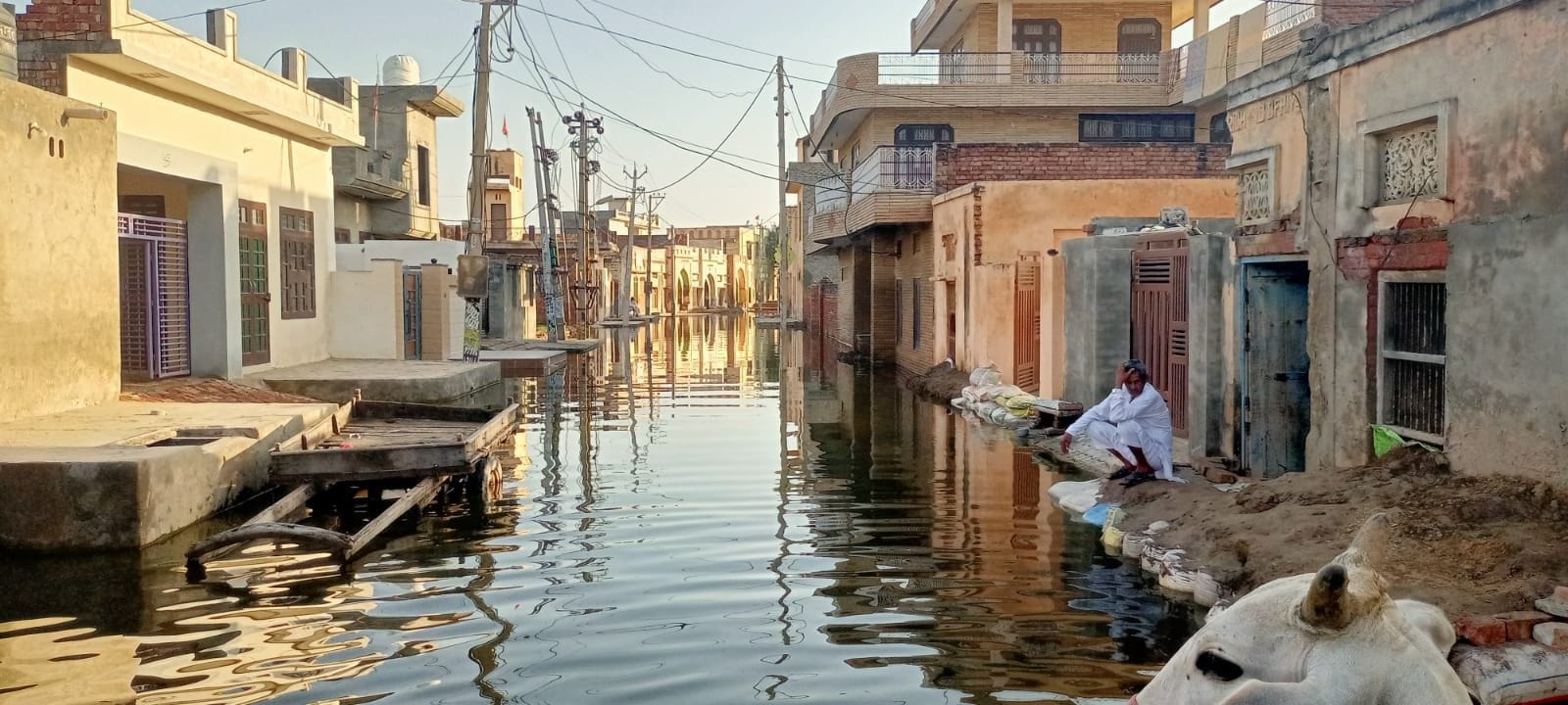 गांव दहमान में जमा बारिश का पानी। गांव दहमान में जमा बारिश का पानी।