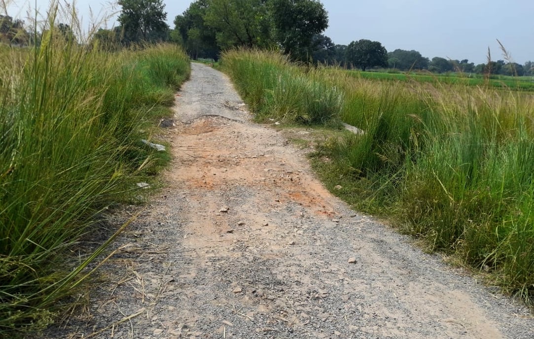 मरम्मत न होने से गड्ढायुक्त हरिहरपुर मार्ग। संवाद