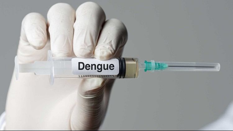 Dengue in Delhi: तेज हो रहा डेंगू का वार, एक हफ्ते में डेंगू के 314 नए मामले, इस महीने 12 दिन में आए 635 केस