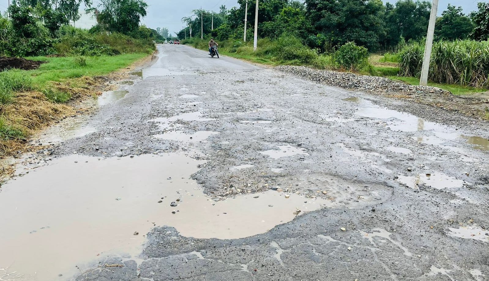 कांधला-बुढ़ाना मार्ग पर हुए गड्ढों में भरा बारिश का पानी।