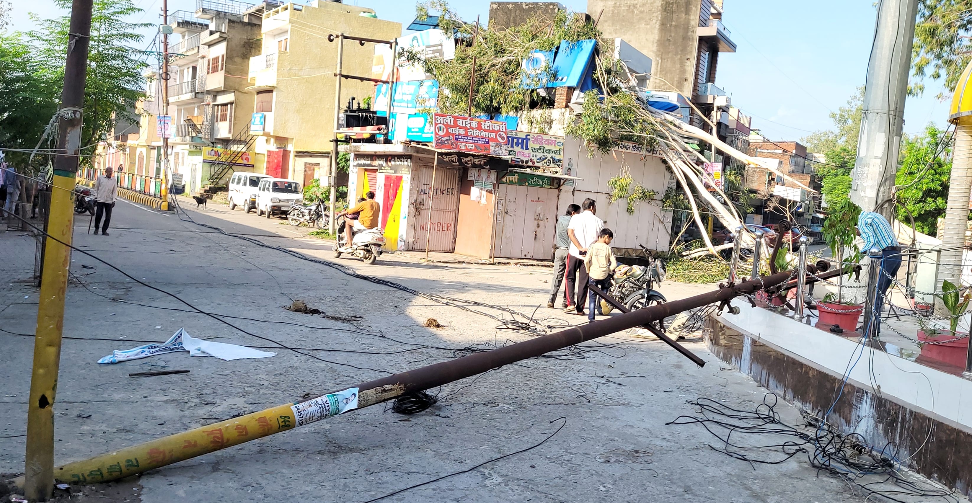 नगीना में स्टेशन रोड पर गांधी मूर्ति के निकट गिरा यूकेलिप्टस का बड़ा पेड़। नगीना में स्टेशन रोड पर गांधी मूर्ति के निकट गिरा यूकेलिप्टस का बड़ा पेड़।