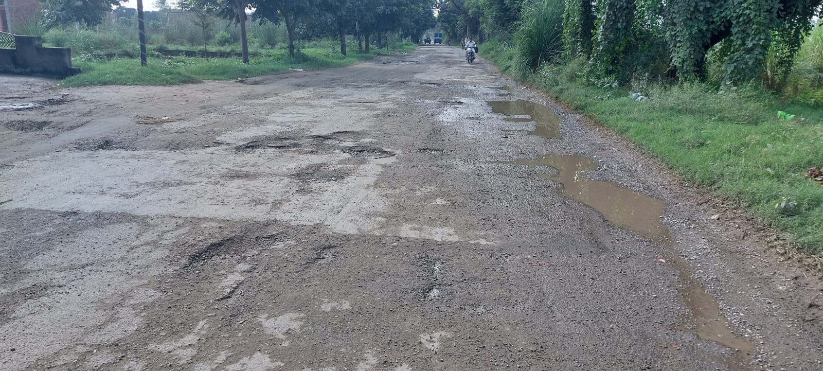 नानौता टिकरौल मार्ग पर सड़क में बने गड्ढे