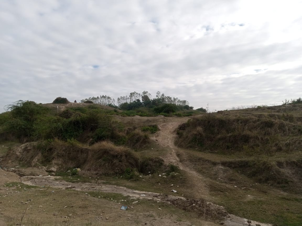 कांधला क्षेत्र के इस्सोपुरटील में महाभारतकालीन टीला। कांधला क्षेत्र के इस्सोपुरटील में महाभारतकालीन टीला।