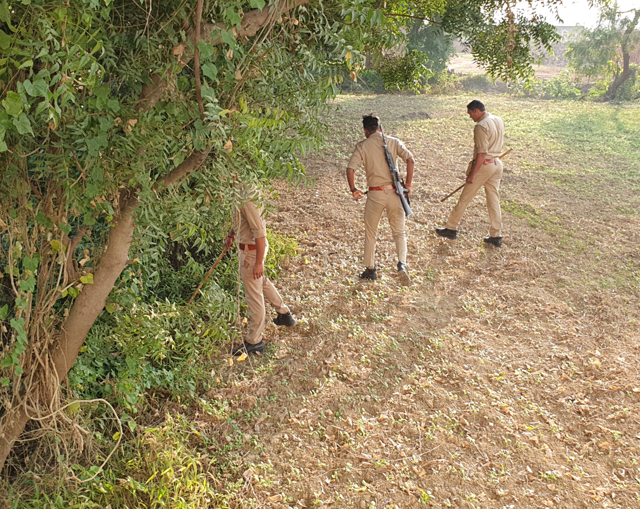 कैराना में चौकीदार की हत्या के बाद झाड़ियों में आला ए कत्ल तलाश करती पुलिस। कैराना में चौकीदार की हत्या के बाद झाड़ियों में आला ए कत्ल तलाश करती पुलिस।