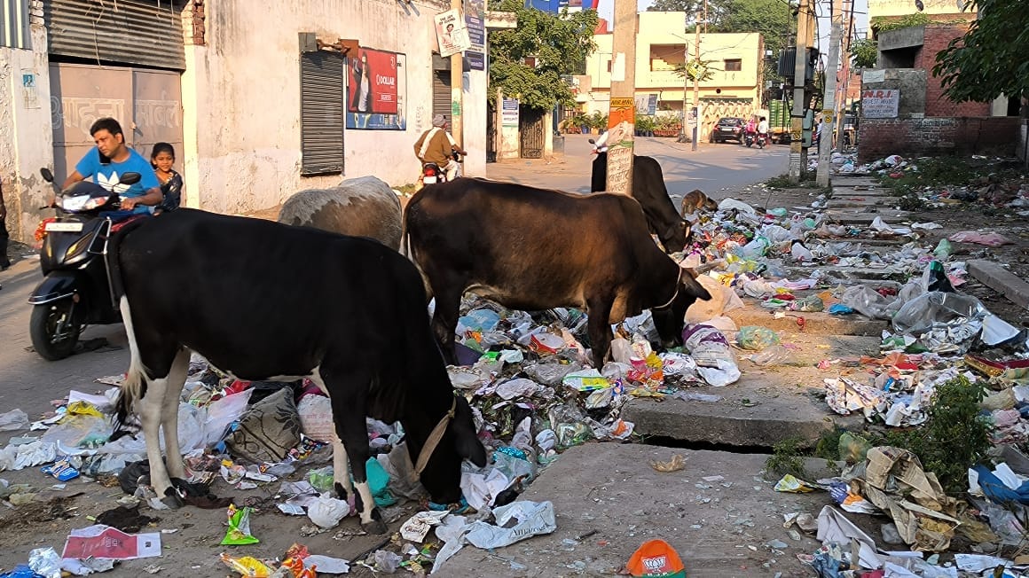 अंबाला छावनी के रामबाग रोड स्थित सड़क के किनारे लगा गंदगी का ढेर व गुजरते वाहन चालक। अंबाला छावनी के रामबाग रोड स्थित सड़क के किनारे लगा गंदगी का ढेर व गुजरते वाहन चालक।