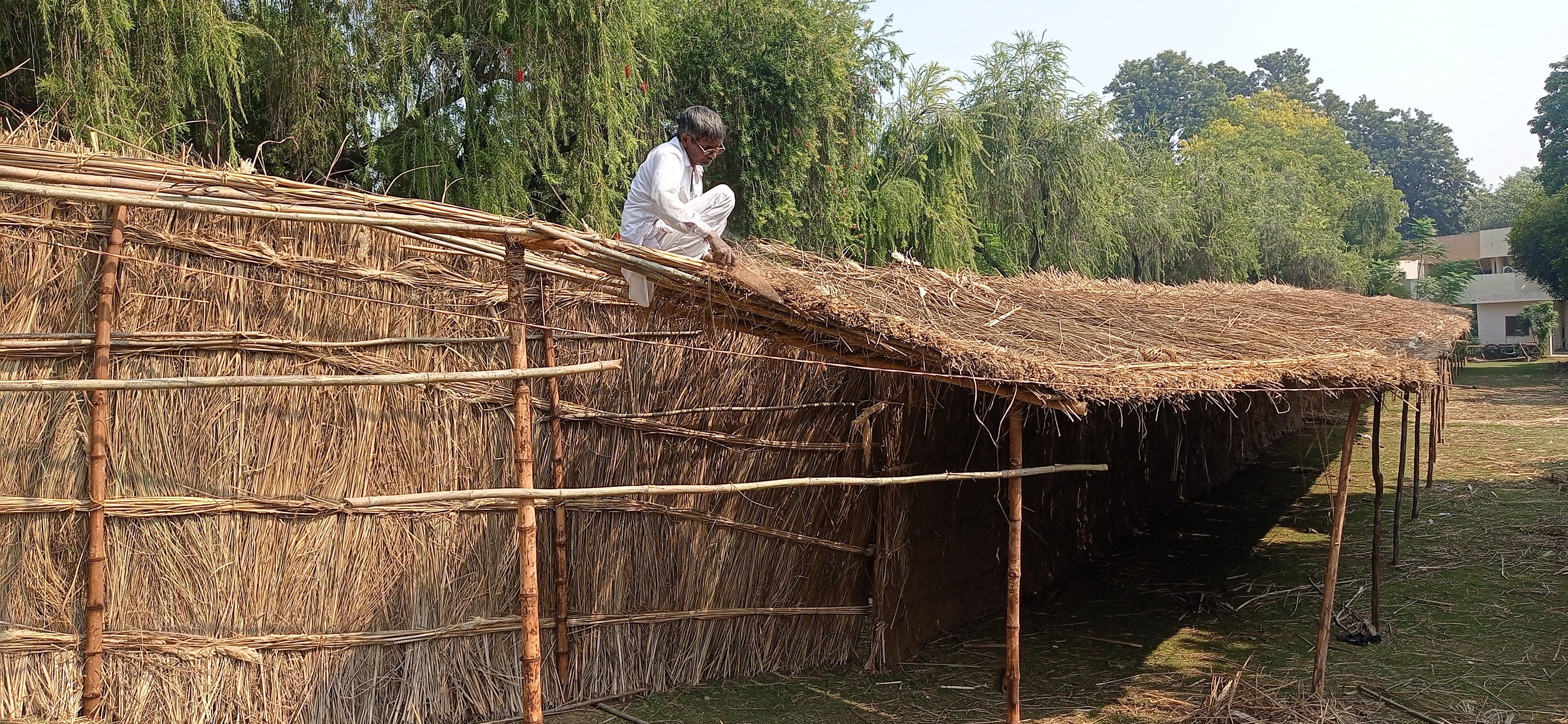 कुरुक्षेत्र विश्वविद्यालय परिसर में झोपड़ी तैयार करता ग्रामीण। संवाद कुरुक्षेत्र विश्वविद्यालय परिसर में झोपड़ी तैयार करता ग्रामीण। संवाद