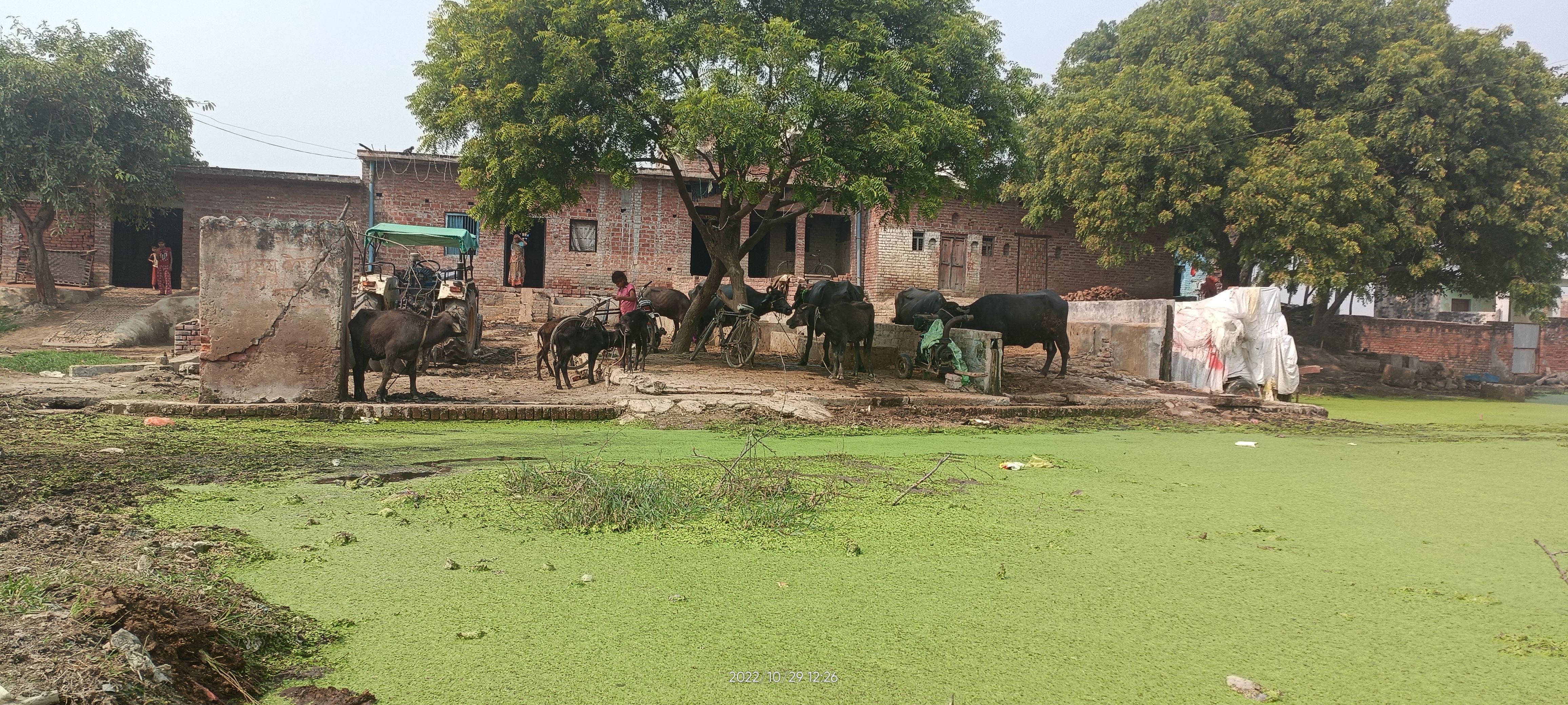 औद्योगिक क्षेत्र के सिटी ड्रेन नाला चोक होने से बंथर क्षेत्र के गांव तक पहुंचा पानी। संवाद