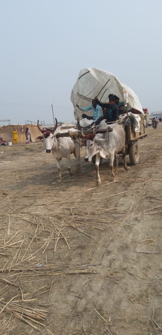 कल्पवास को मेला ककोड़ा बैलगाड़ी से जाता एक परिवार। संवाद कल्पवास को मेला ककोड़ा बैलगाड़ी से जाता एक परिवार। संवाद