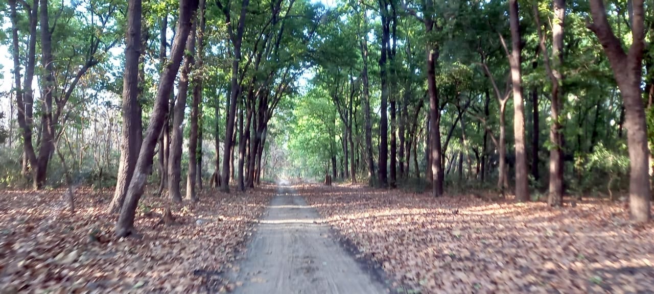 बिजनौर के अमानगढ़ का रास्ता। बिजनौर के अमानगढ़ का रास्ता।