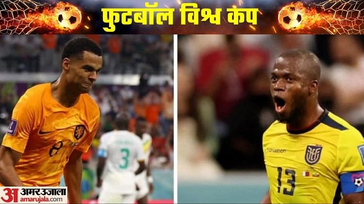 Netherlands vs Ecuador Live Score: इक्वाडोर के खिलाफ नीदरलैंड 1-0 से आगे, गैक्पो का टूर्नामेंट में दूसरा गोल