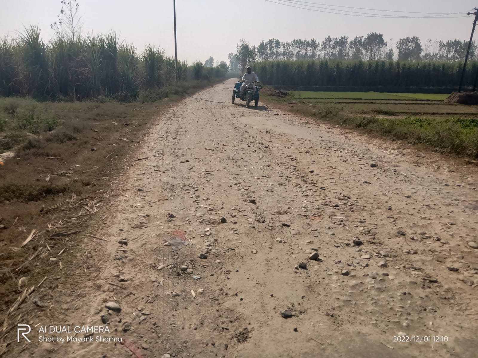 गड्ढों में तब्दील तल्हेडी बुजुर्ग शाहपुर मार्ग गड्ढों में तब्दील तल्हेडी बुजुर्ग शाहपुर मार्ग