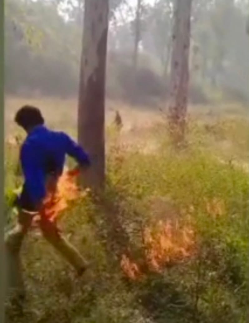 नांगलसोती के जंगल में पेट्रोल बोतल से स्टंट के दौरान छात्र के कपड़ों में लगी आग।