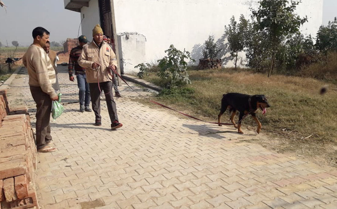 बागपत : फखरपुर में लापता सूर्यांश की तलाश में जुटी डाग स्क्वॉड टीम। बागपत : फखरपुर में लापता सूर्यांश की तलाश में जुटी डाग स्क्वॉड टीम।