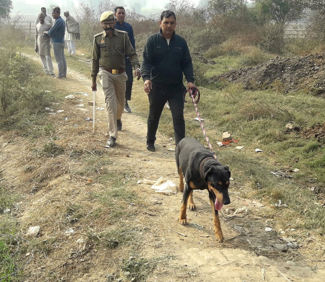 खरपुर के जंगल में बालक शौर्य की तलाश में जुटी डाग स्कवायड टीम खरपुर के जंगल में बालक शौर्य की तलाश में जुटी डाग स्कवायड टीम