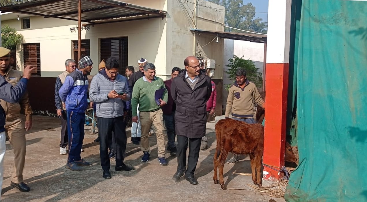 किरतपुर में गो आश्रय स्थल का निरीक्षण करते डीएम उमेश मिश्रा। किरतपुर में गो आश्रय स्थल का निरीक्षण करते डीएम उमेश मिश्रा।