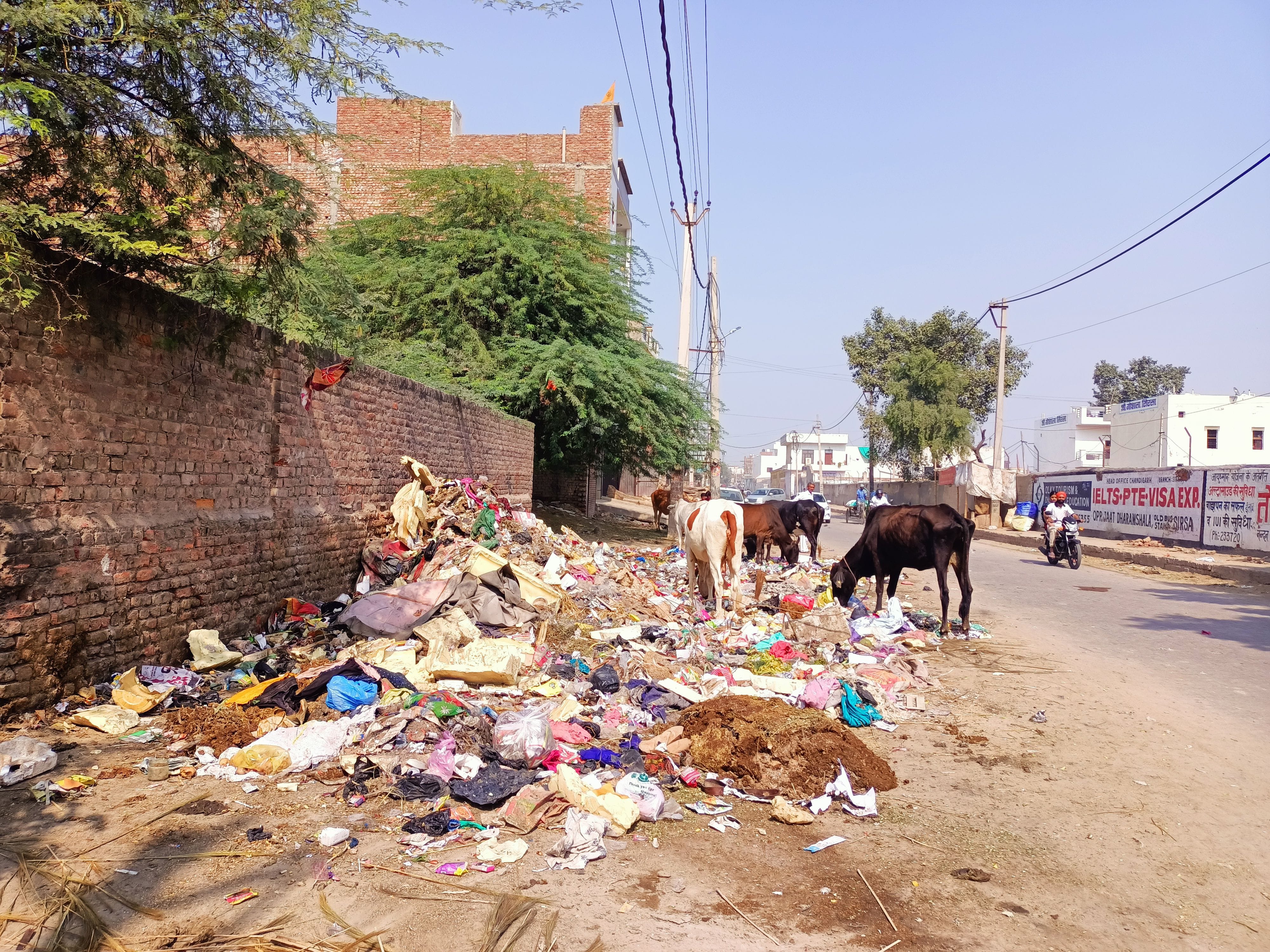 गोशाला रोड पर बिखरा कूड़ा । संवाद गोशाला रोड पर बिखरा कूड़ा । संवाद