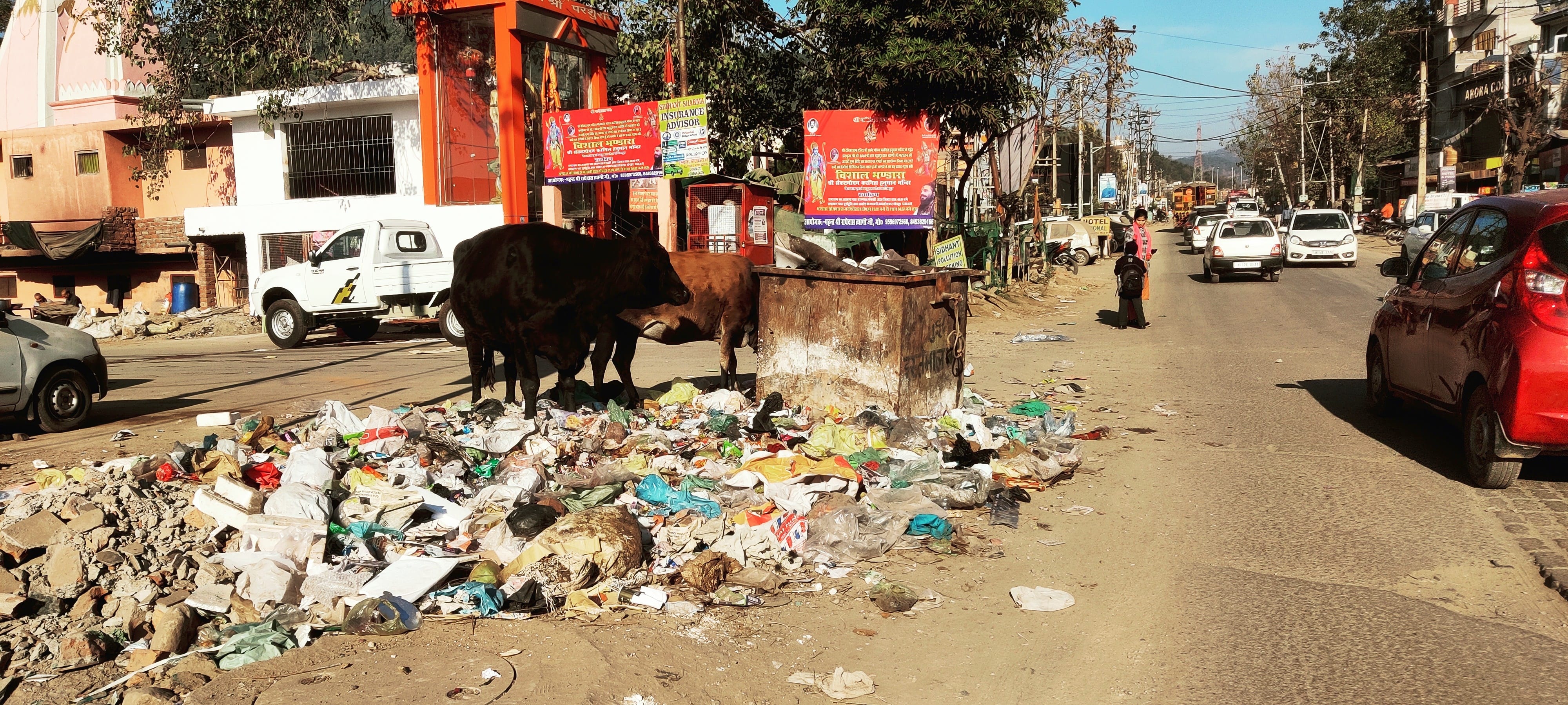 उधमपुर: शहर के मीट मार्केट में बने डंपिंग स्टेशन लगा कचरा का ढेर तथा कारगिल हनुमान मंदिर के पास पड? उधमपुर: शहर के मीट मार्केट में बने डंपिंग स्टेशन लगा कचरा का ढेर तथा कारगिल हनुमान मंदिर के पास पड?