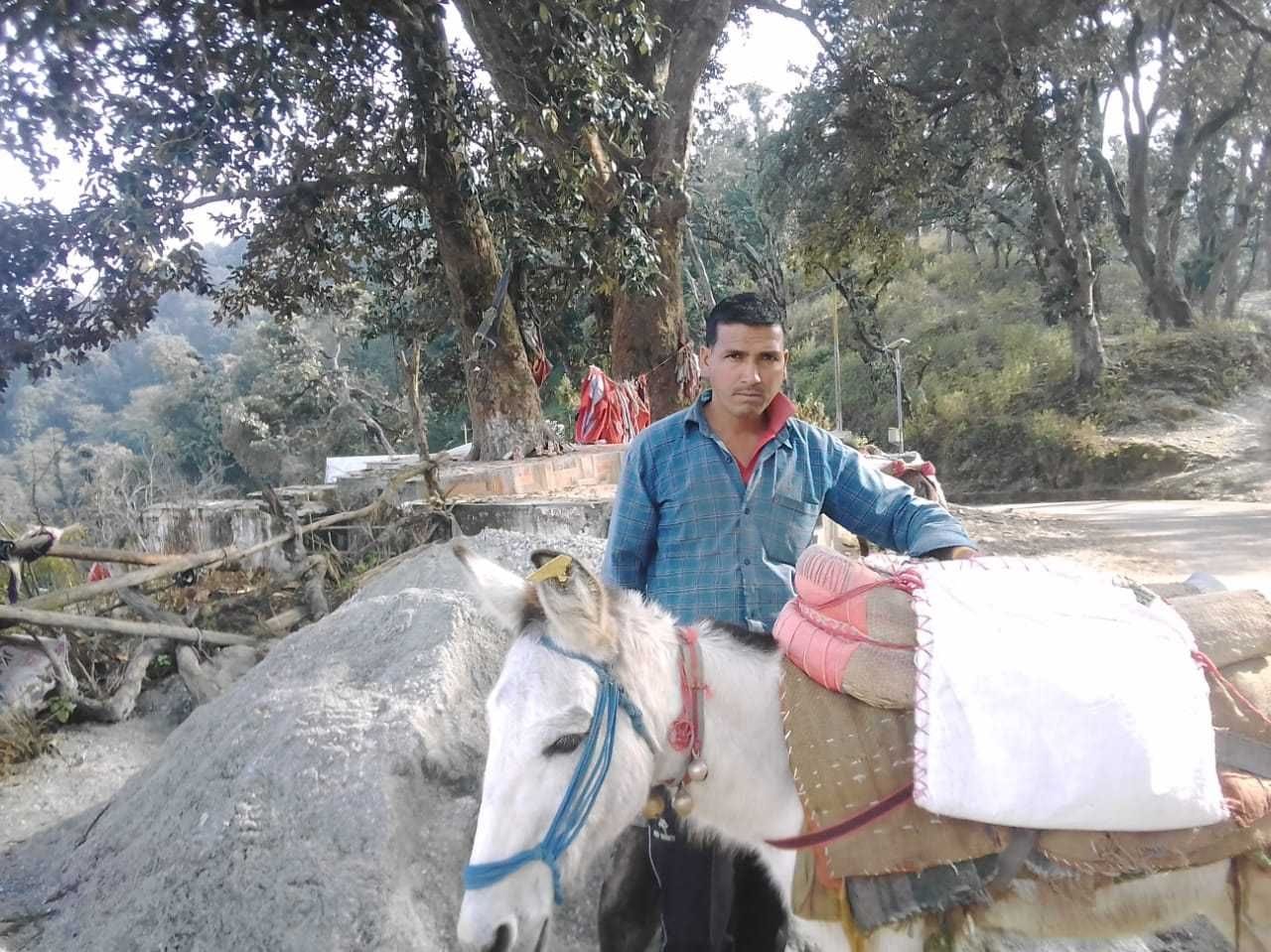 सड़कविहीन बकोड़ा गांव में इस तरह खच्चर पर ढोकर ले जाया जाता है सामान। संवाद सड़कविहीन बकोड़ा गांव में इस तरह खच्चर पर ढोकर ले जाया जाता है सामान। संवाद