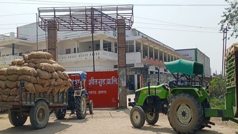शीतगृह