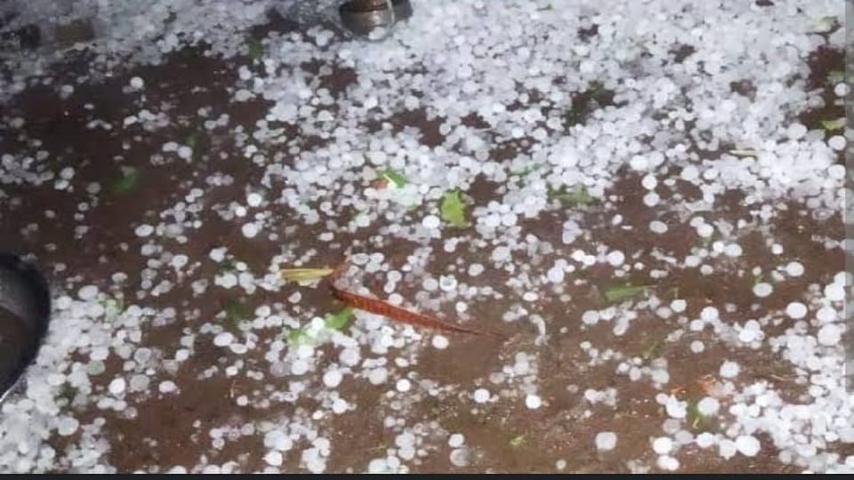 बारिश के साथ ओला