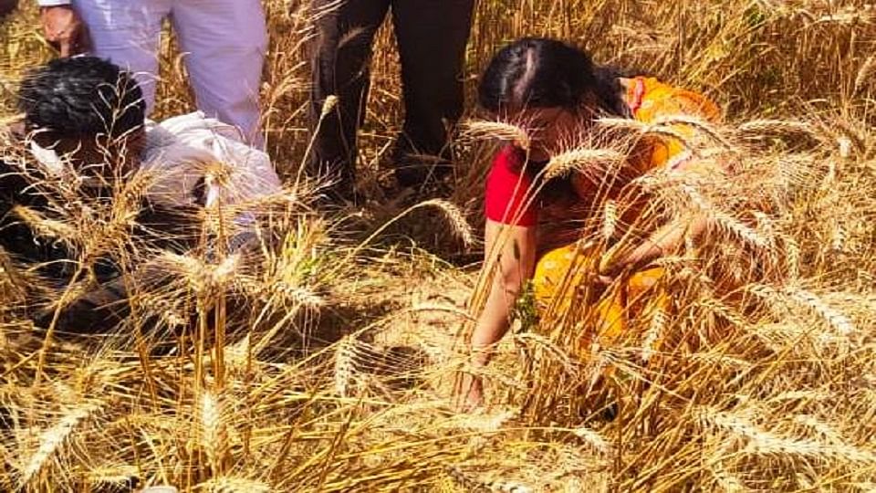 फसल काटते हुए डीएम अर्चना वर्मा