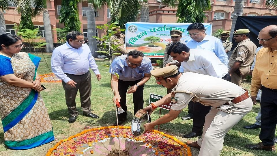 वृक्षारोपण करते हुए राजस्व परिषद के अध्यक्ष संजीव मित्तल