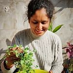 Anshita