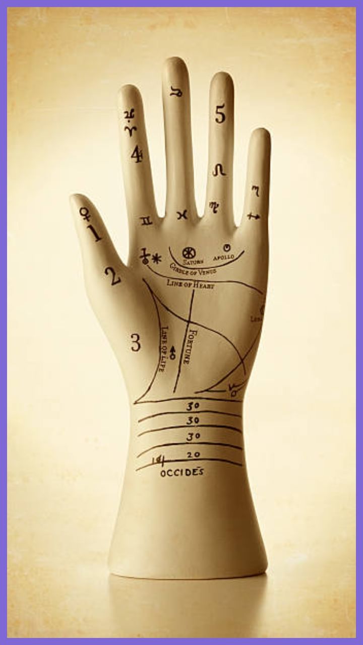 Details more than 75 2 bracelet lines palmistry super hot in.duhocakina