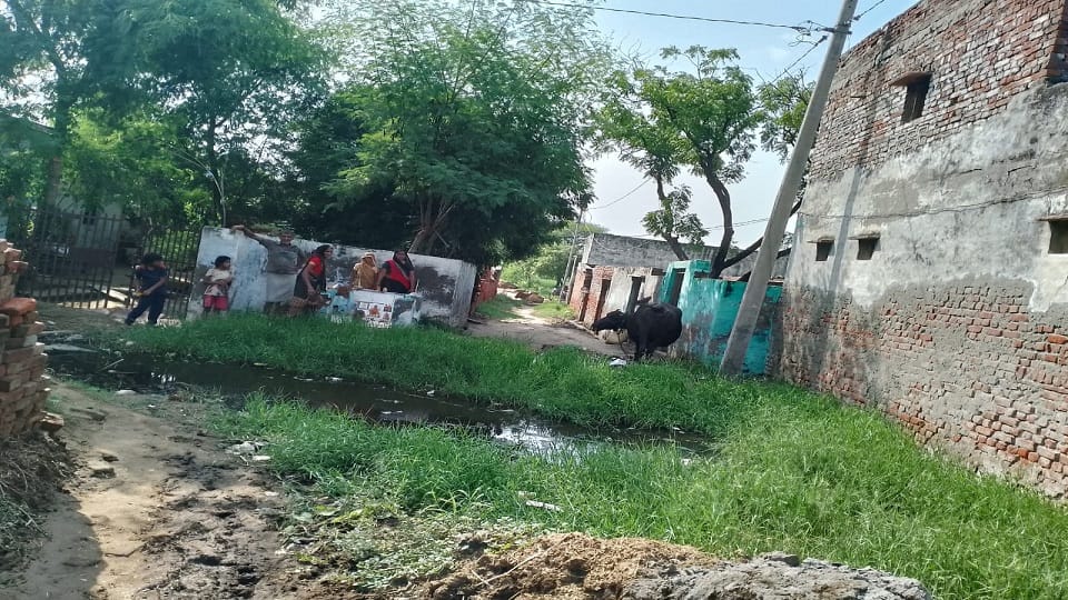 गंदगी