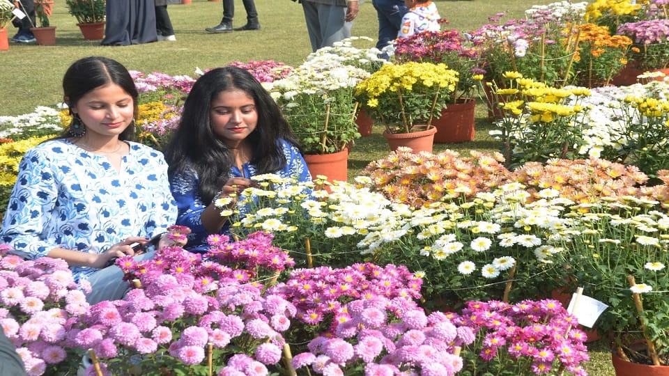 फूलों को निहारतीं युवतियां