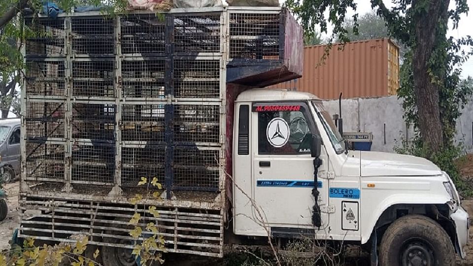 मैक्स
