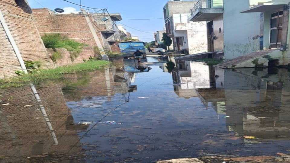 सारसौल चंद्र लोक कॉलोनी वार्ड नंबर 32 में  भरा पानी