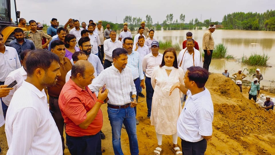 मुआयना करते डीएम विशाख जी