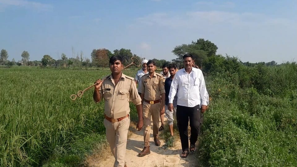 वन विभाग की टीम
