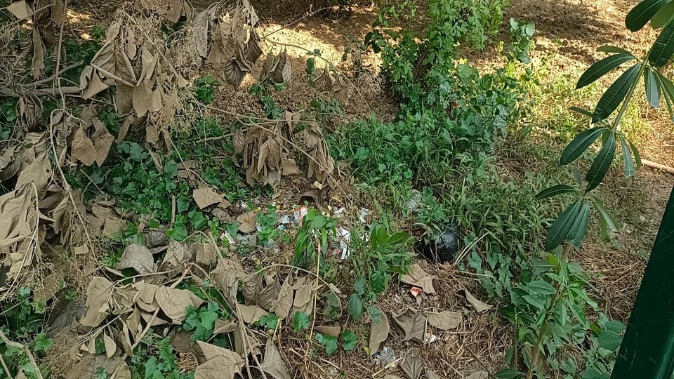 गंदगी
