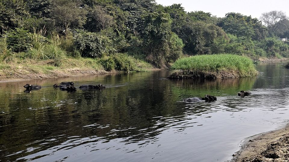 काली नदी अलीगढ़